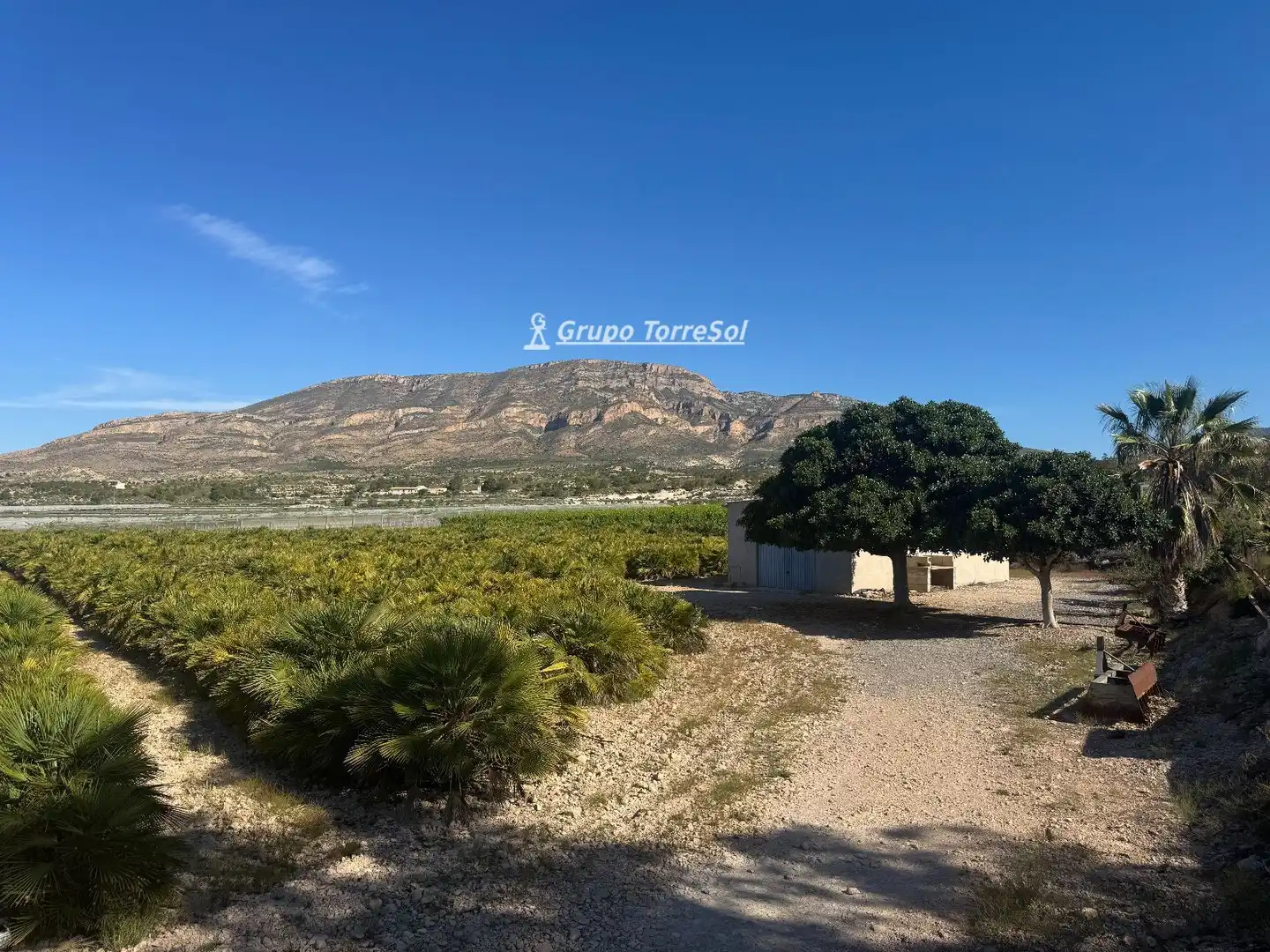 Land for sale in Monforte del Cid