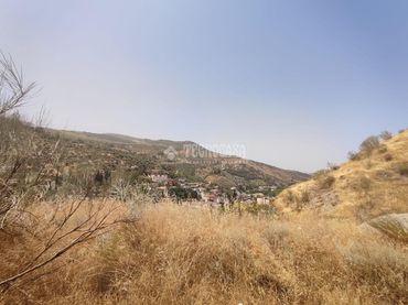 Terreno rustico in vendita a Pinos Genil