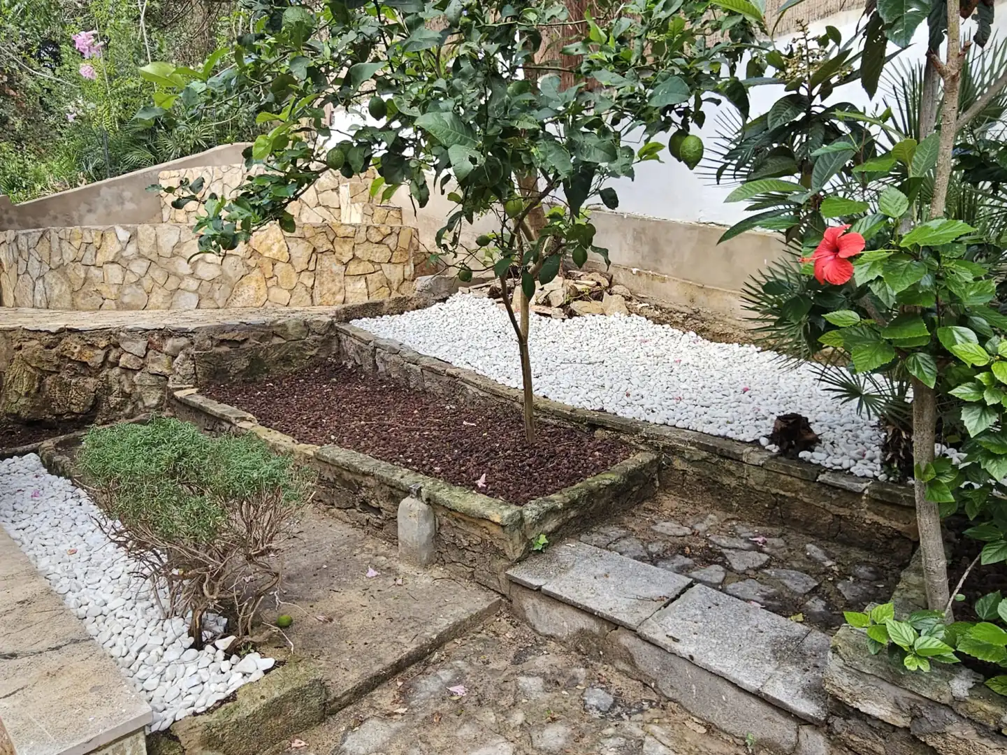 Jardín de Casa adosada de alquiler en Pollença con Aire acondicionado, Calefacción y Terraza
