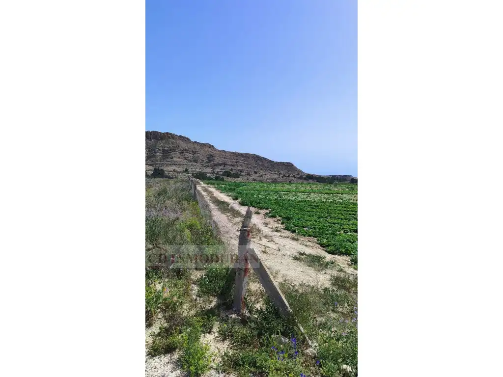 Terreno rustico in vendita a Carrer Ibi, imagen 11