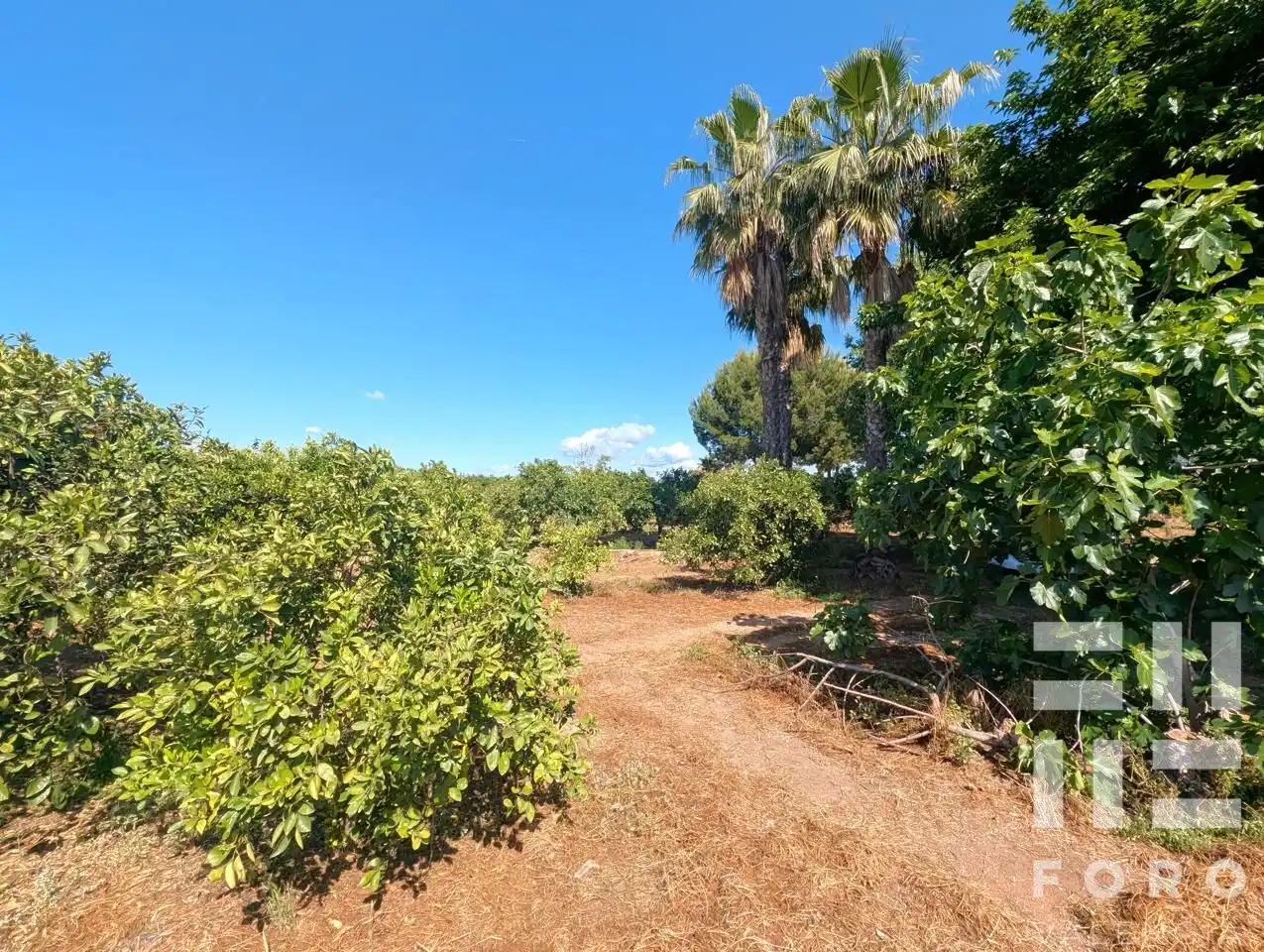 Finca rústica en venta en Alzira con Jardín privado, Balcón y Internet