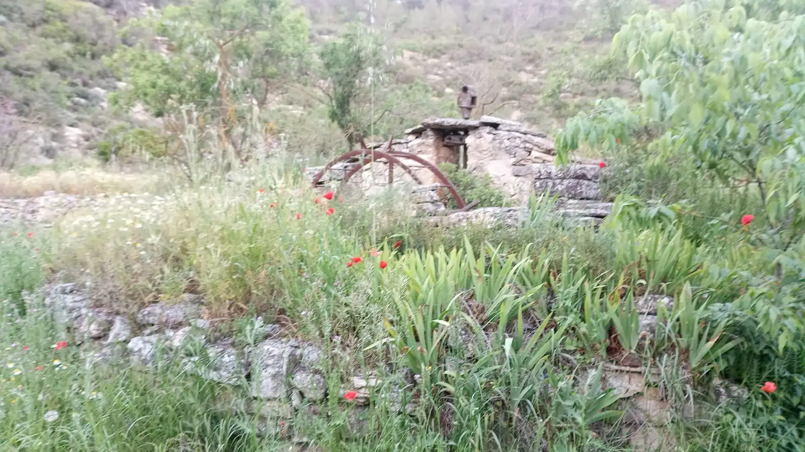 Jardín de Finca rústica en venta en Vilalba dels Arcs