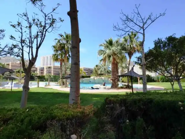 Schwimmbecken von Wohnungen zum Verkauf in El Campello mit Heizung, Parkett und Terrasse