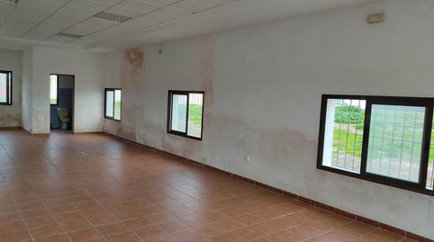 Foto 4 von Geschaftsraum zur Miete in Pedanías Norte, Utrera