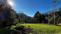 Finca rústica en venda en Peñamellera Alta