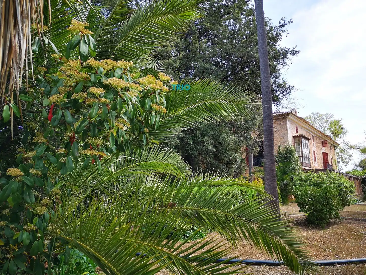 Casa amb terrassa en venda a Nord, imagen 56