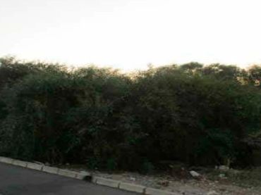 Terreno residenziale in vendita a Calle Alcalde Clemente García