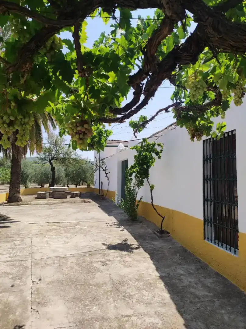 Vista exterior de Piso en venta en Montilla
