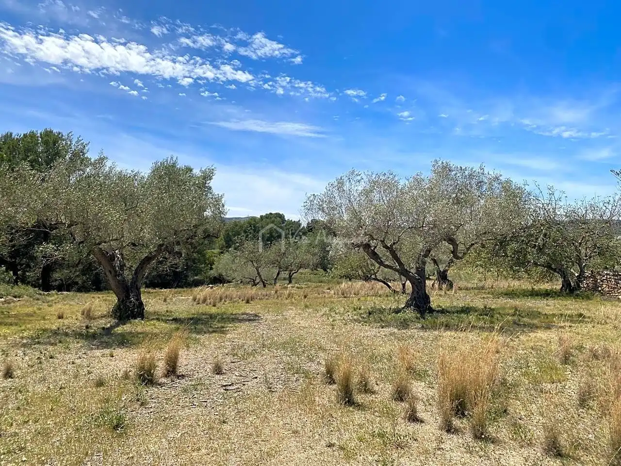 Terreno rustico in vendita a Mas de Baralluga, imagen 10