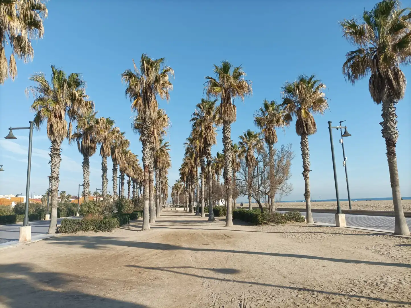 Vista exterior de Residencial en venta en Valencia