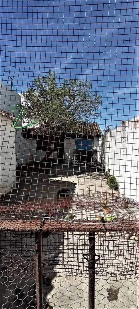 Vista exterior de Casa o xalet en venda en Villamanrique de la Condesa amb Balcó