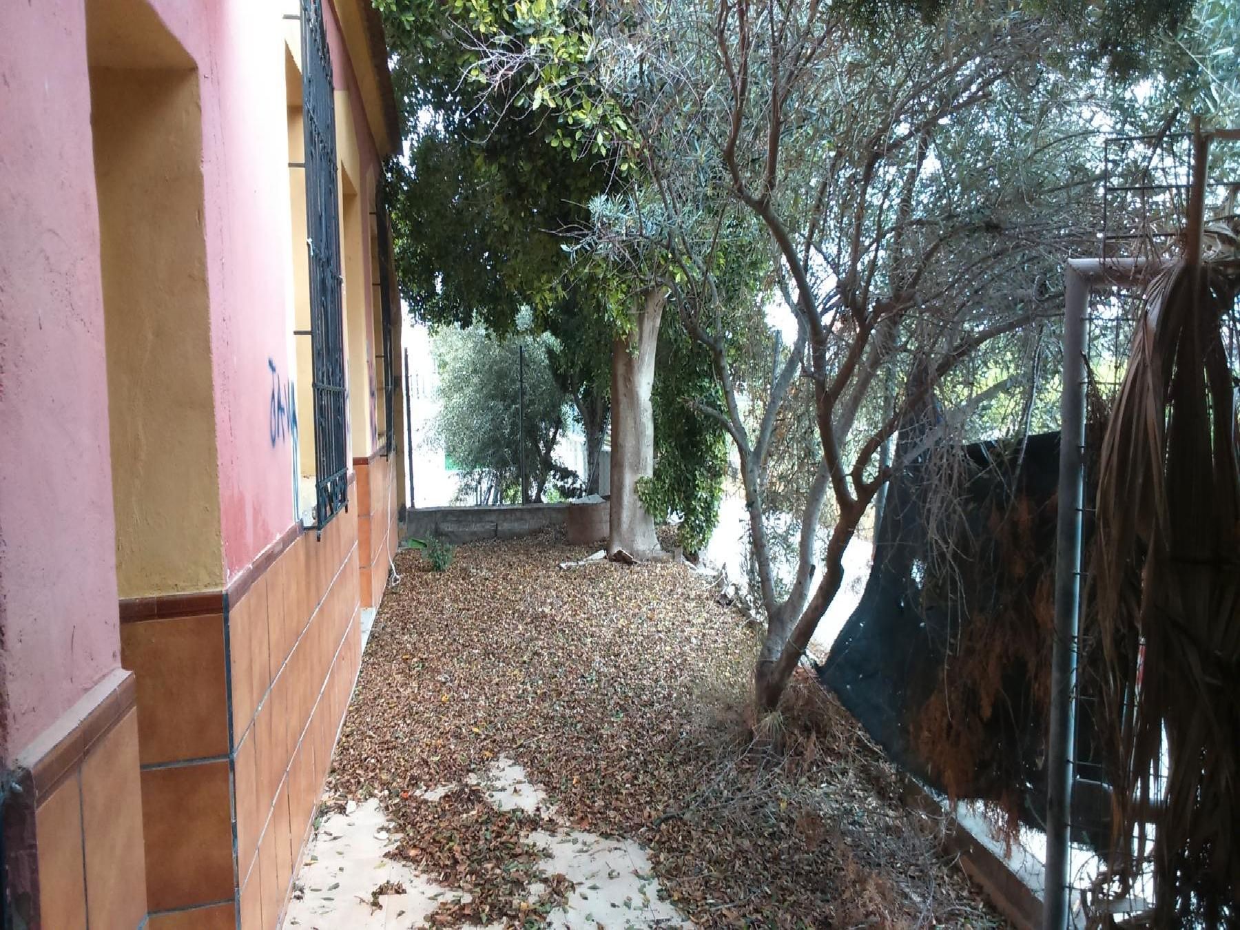 Jardí de Finca rústica en venda en Orihuela amb Jardí privat
