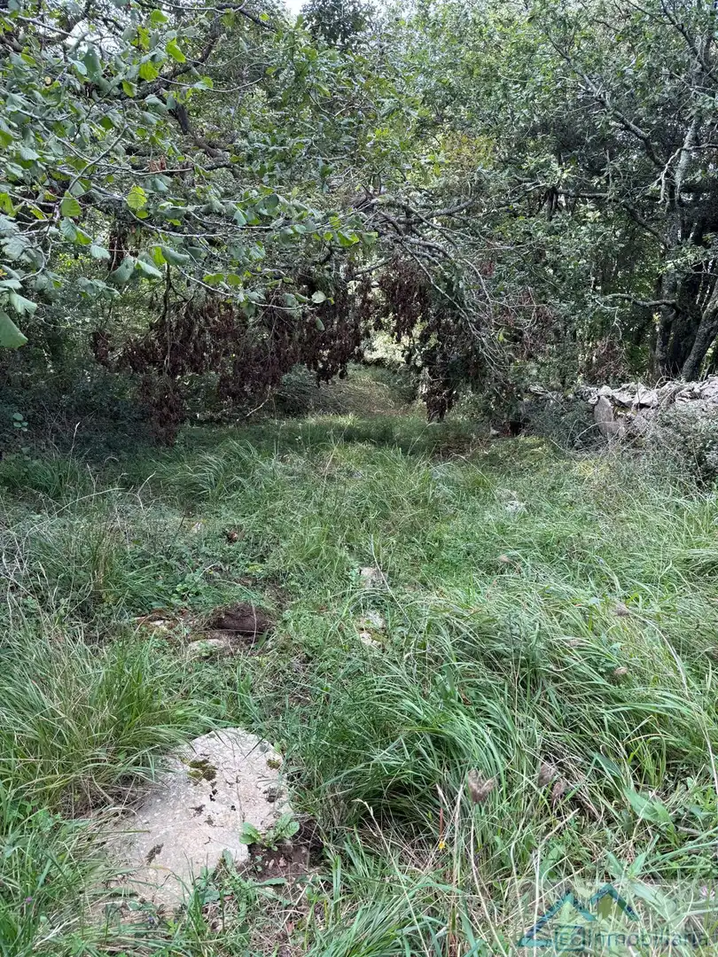 Casa o xalet en venda en Entrambasaguas