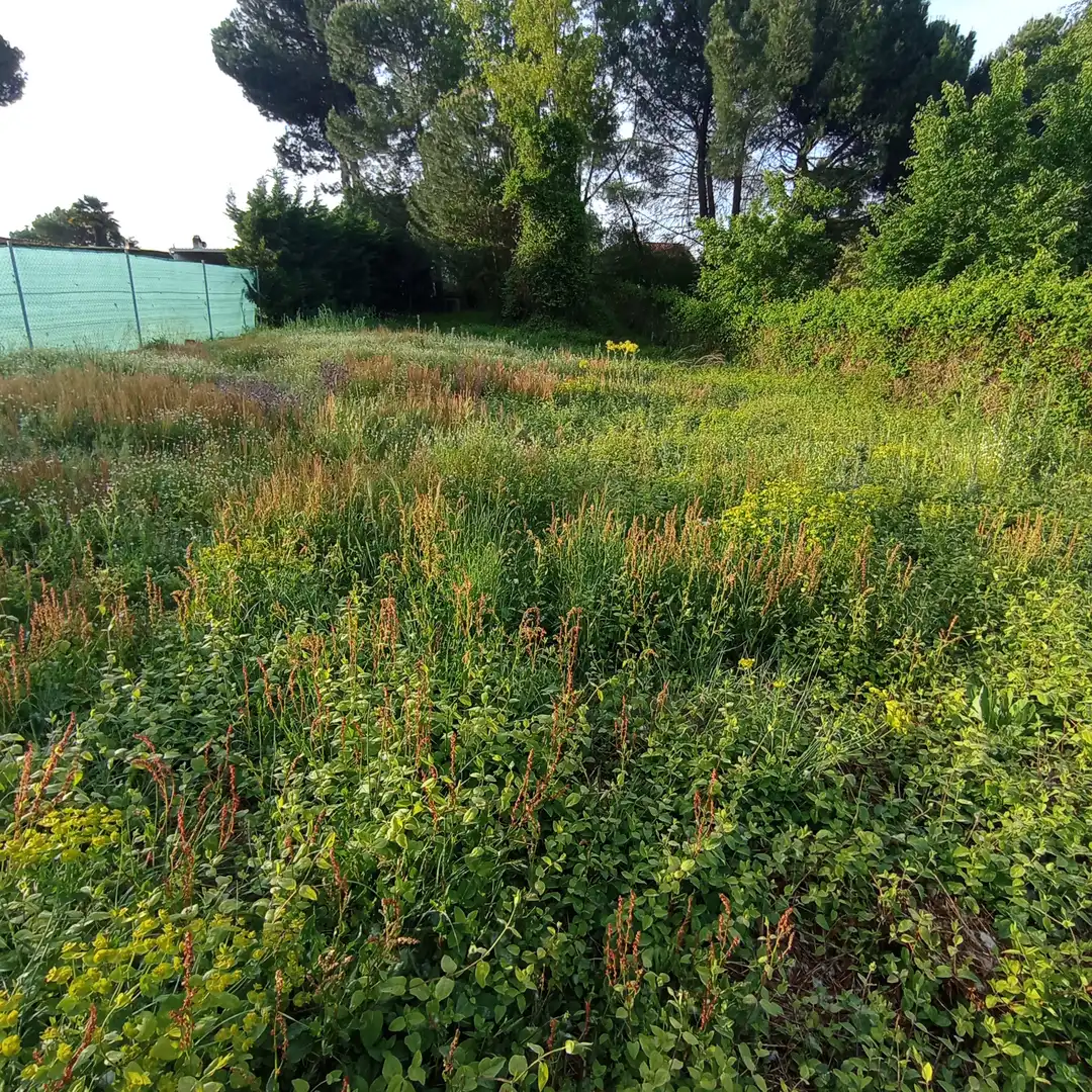 Casa o chalet en venta en Valladolid