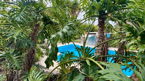 Foto 4 de Finca rústica en venta en La Vega - El Amparo - Cueva del Viento, Santa Cruz de Tenerife