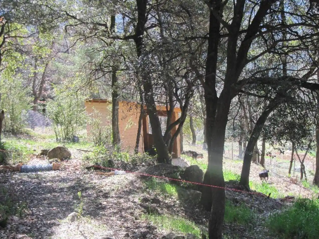 Terreno residenziale in vendita a La Nou de Berguedà, imagen 11
