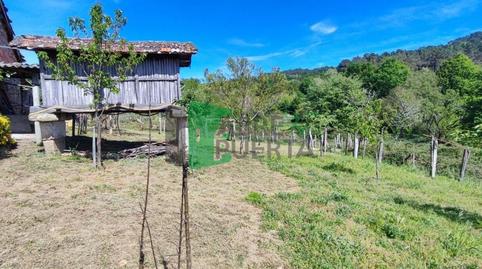 Foto 5 de Finca rústica en venda a A Merca  , Ourense