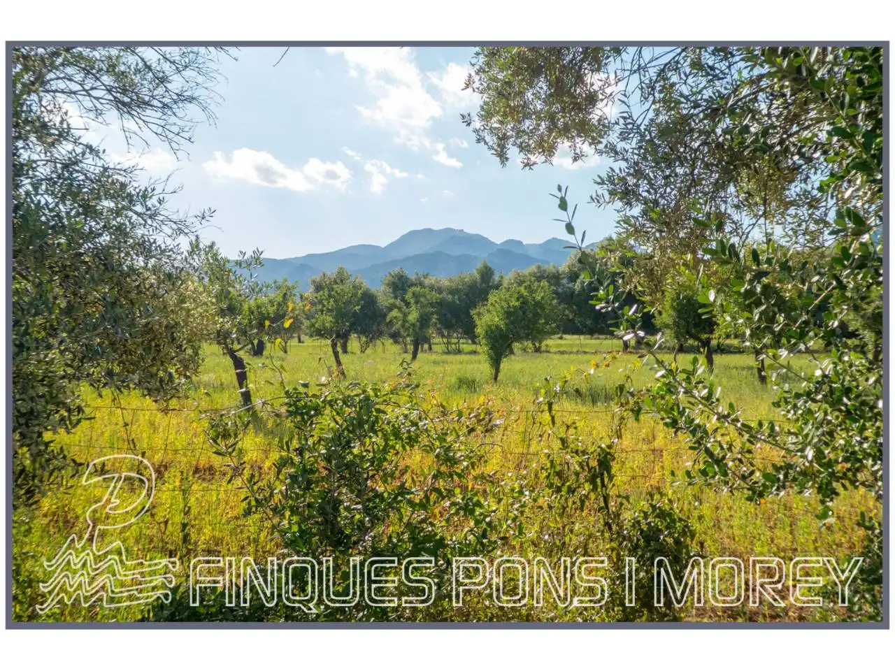 Finca rústica en venda en Campanet
