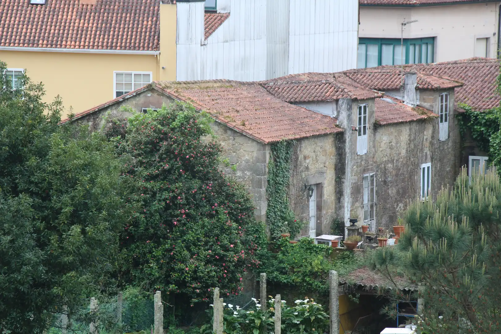 Wohnbaugrundstück zum Verkauf in Rúa San Loís 25, imagen 7