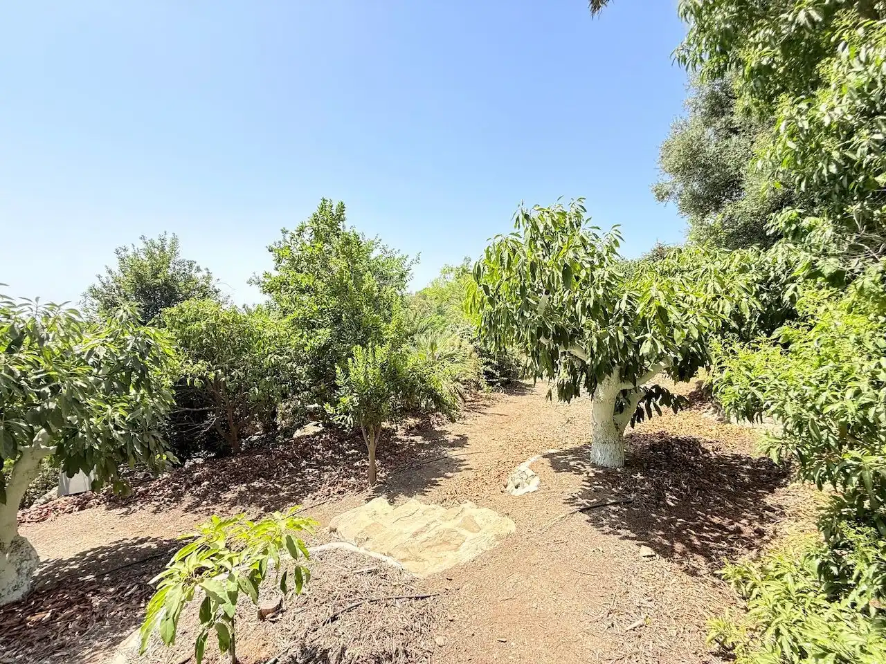 Casa o chalet en venta en Vélez-Málaga con Aire acondicionado, Calefacción y Jardín privado