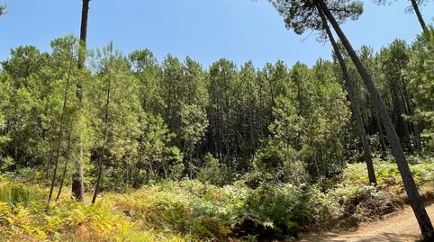 Foto 3 von Grundstücke zum Verkauf in N/a, -1, Arenas de San Pedro, Ávila