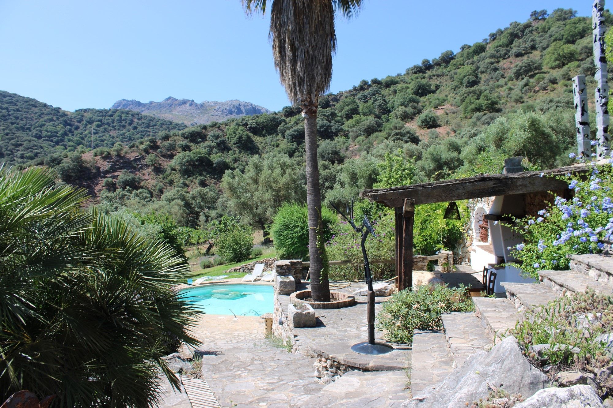 Jardí de Casa o xalet en venda en Benaoján amb Piscina