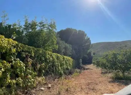 Terreno residencial en venta en Partida Rústica En Hoya De Buñol - El Tollo - Po, imagen 10