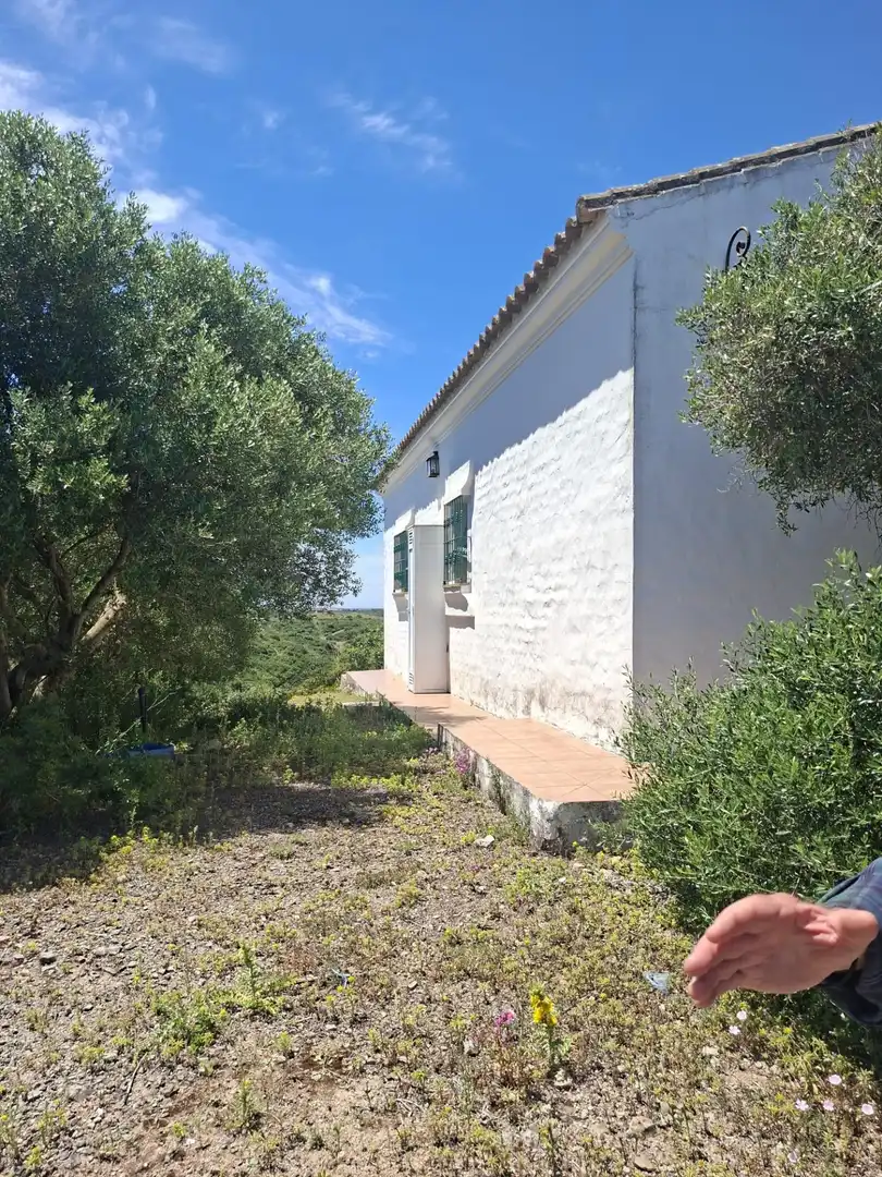 Vista exterior de Finca rústica en venta en Medina Sidonia