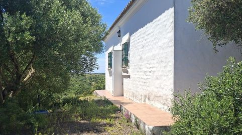 Foto 4 de Finca rústica en venda a Medina Sidonia, Cádiz