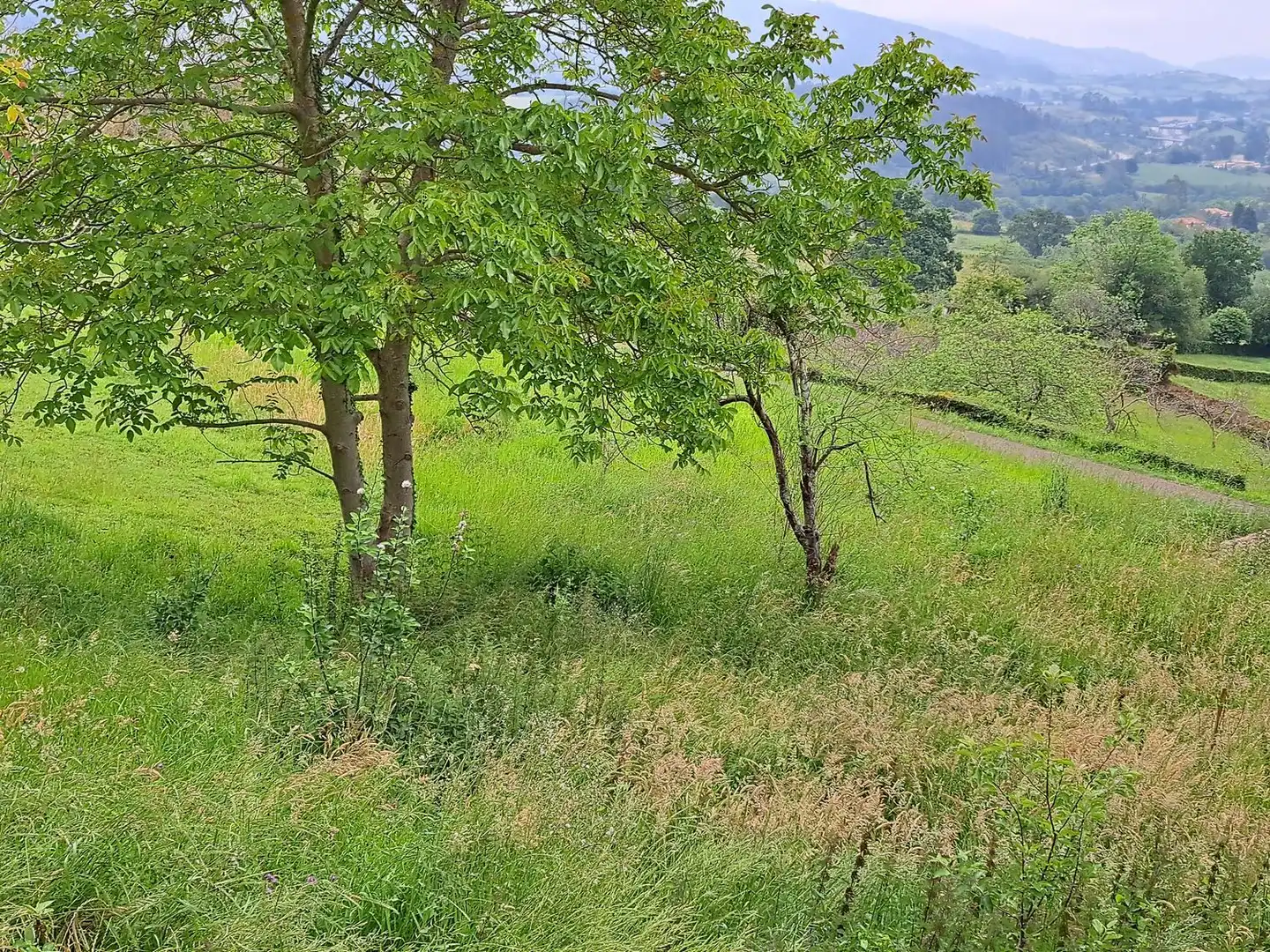 Casa o chalet en venta en Parroquias suroccidentales