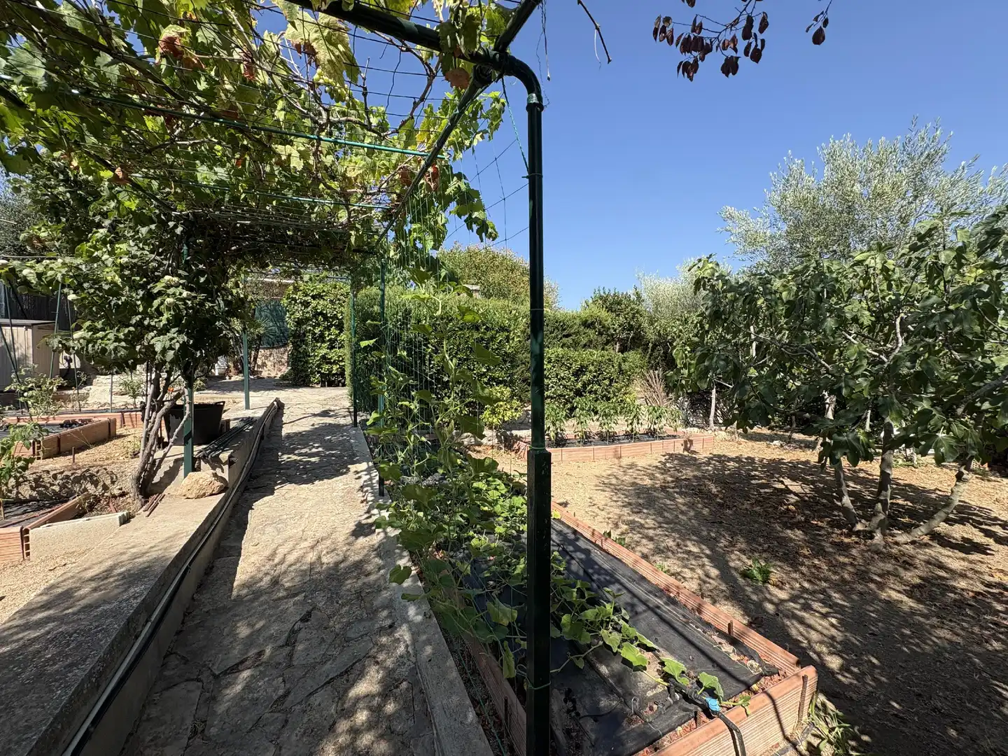 Jardí de Casa o xalet en venda en Cabrera d'Anoia amb Aire condicionat, Jardí privat i Traster
