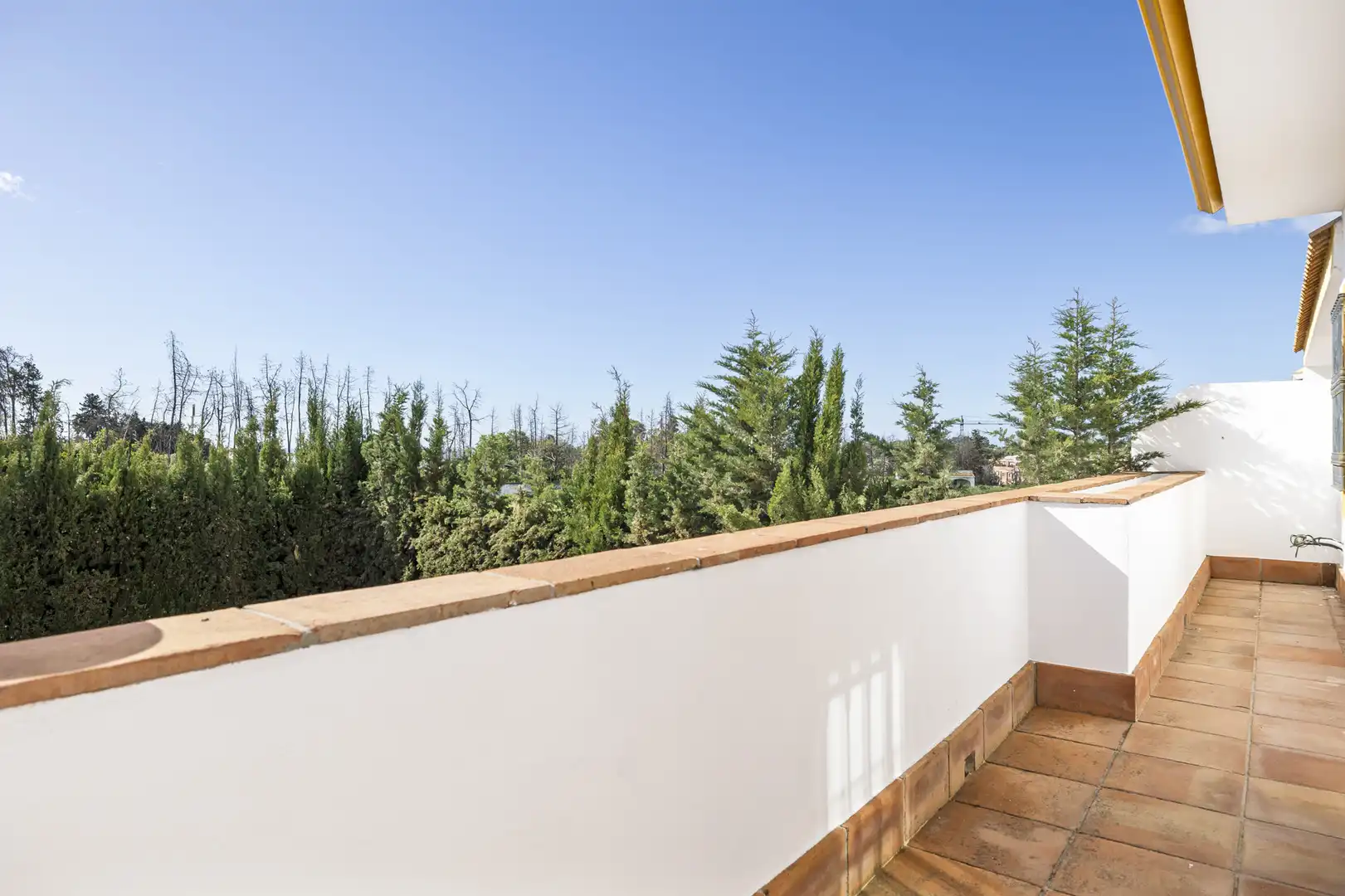 Habitatge amb piscina en venda a San Pedro de Alcántara, imagen 17