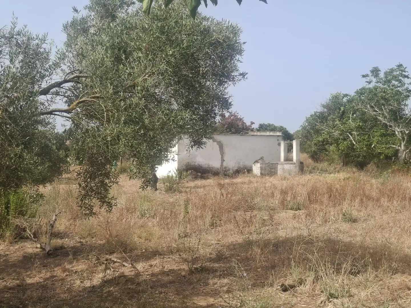 Residential land for sale in Pelagatos - Pago del Humo, imagen 2