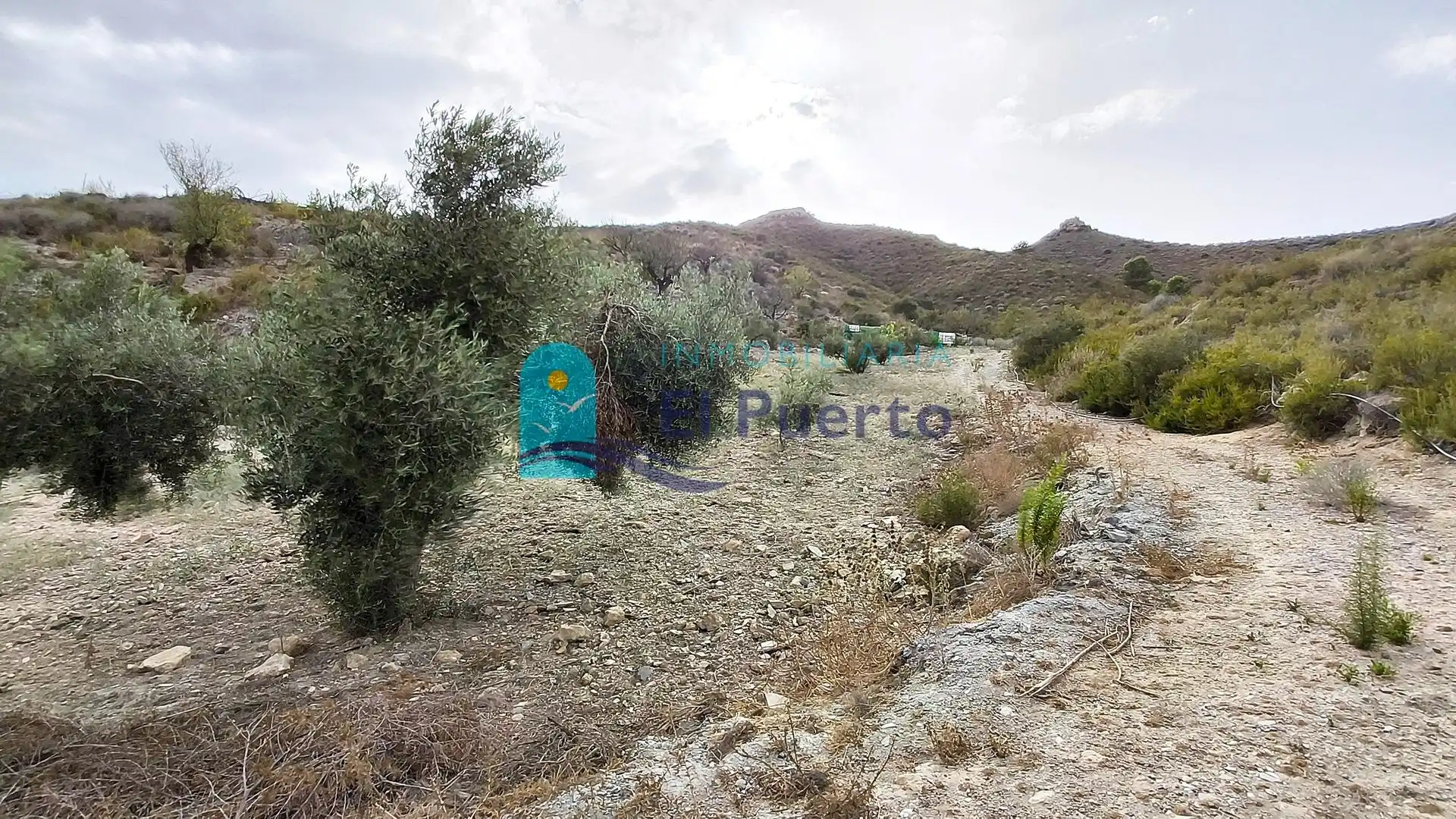 Terreno rústico en venta en Pedanías Oeste, imagen 14
