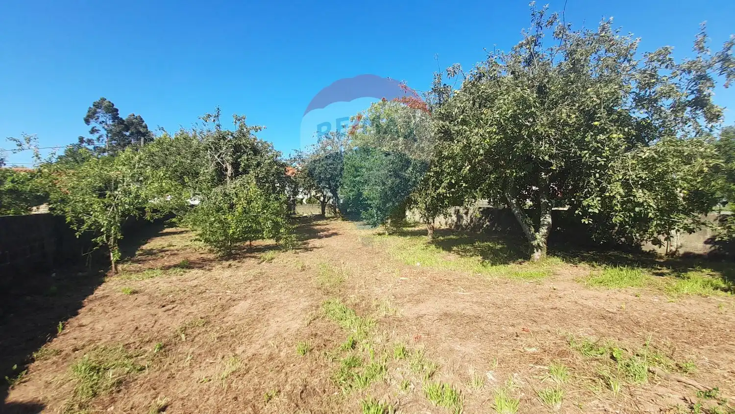 Rural land for sale in Aldea Seixeda 0, imagen 2