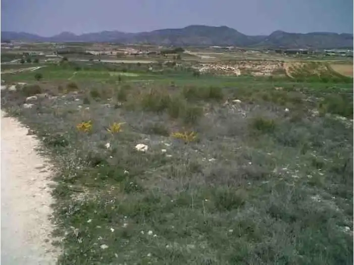 Terreny rústic en venda a Caravaca de la Cruz, imagen 4