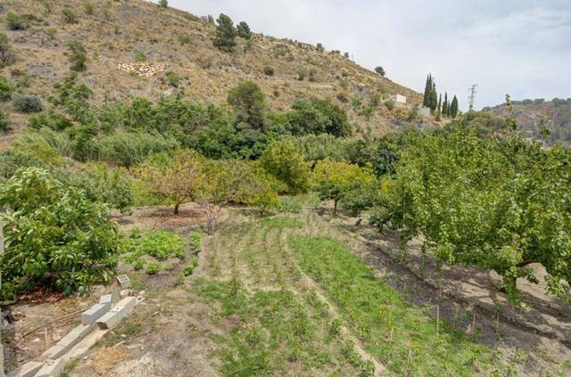 Terreno en Venta en El Pinar