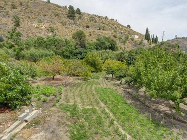 Terreny rústic en venda a El Pinar