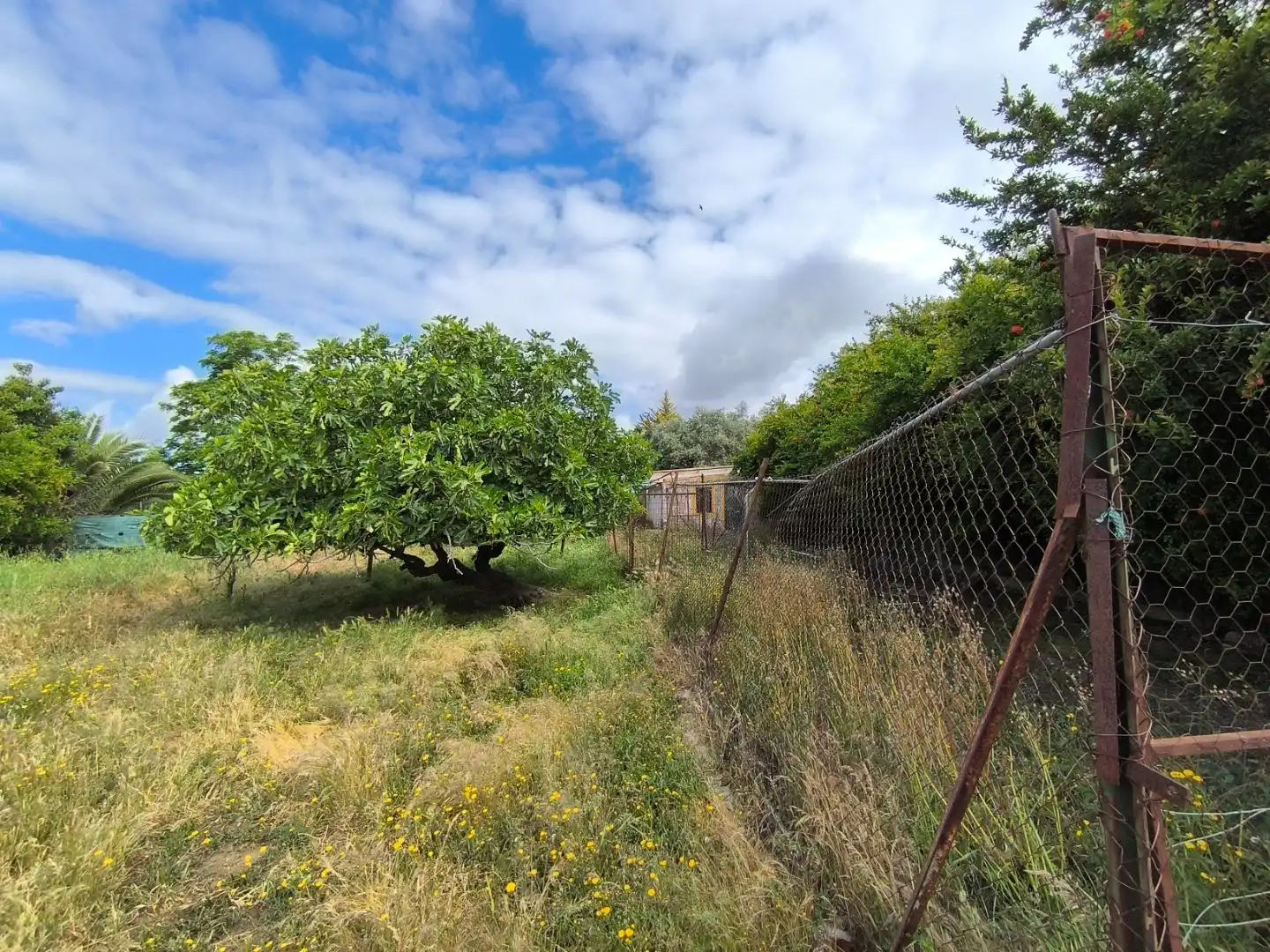 Terreno residencial en venta en Huertas 2, imagen 6
