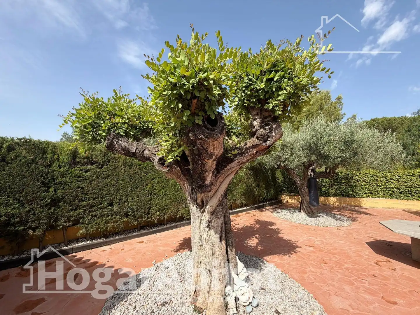 Garden of Houses for sale in Náquera  with Air Conditioner, Private garden and Terrace