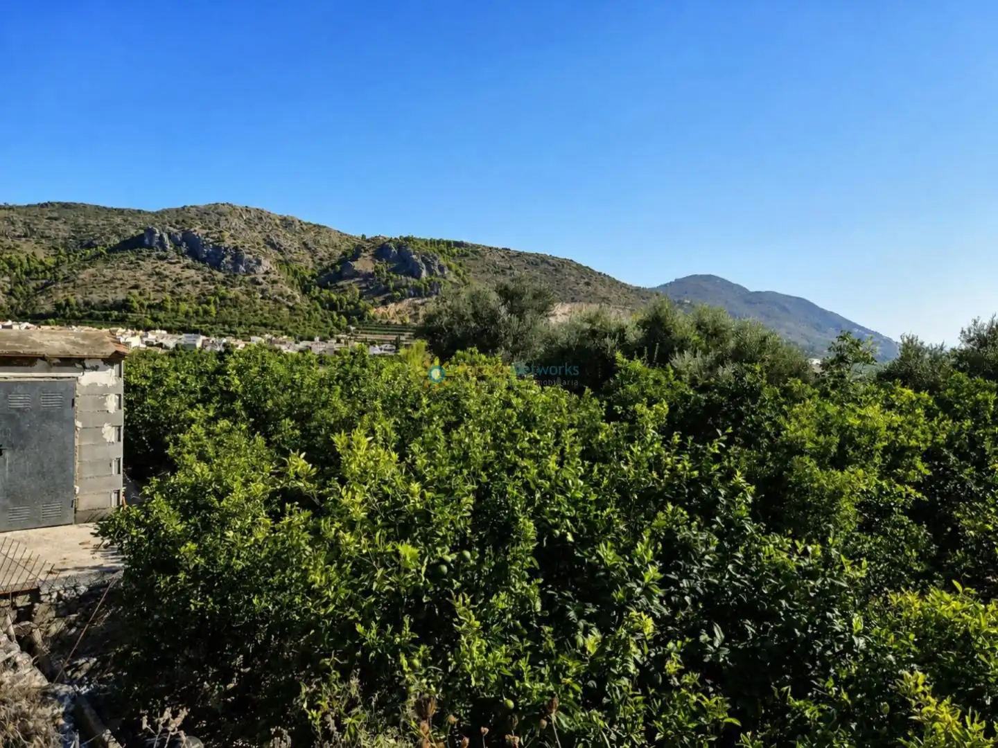 Rural land for sale in L'Atzúbia, imagen 3