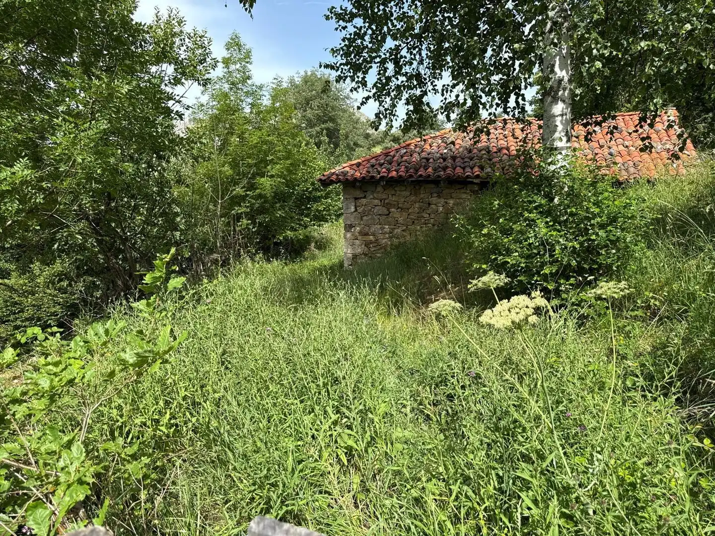 Casa con jardín en venta en Quirós, imagen 8