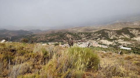 Terreno rústico en venta en Alcolea  17.000 m2 delante del pueblo, immagine 2