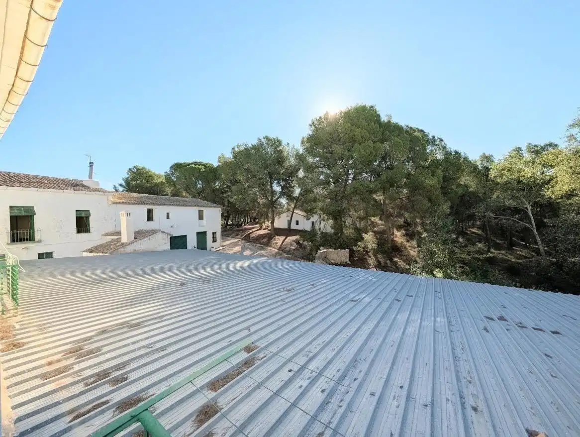 Maison rustique à vendre à Ibi, imagen 11