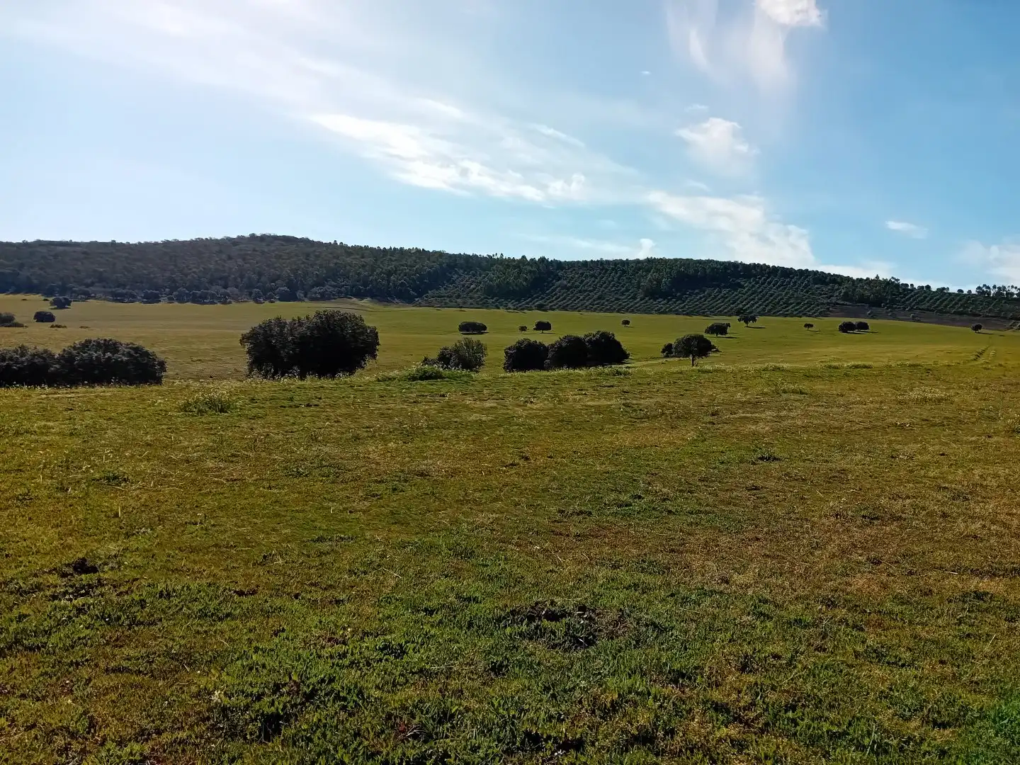 Residential for sale in Puebla de Don Rodrigo