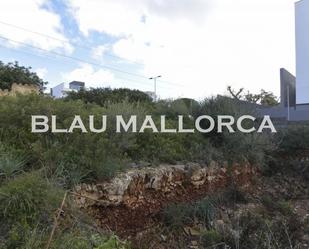 Land for sale in Manacor