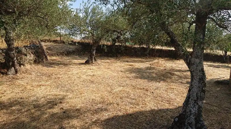 Terreni e lotti in vendita a Tejeda de Tiétar, imagen 9