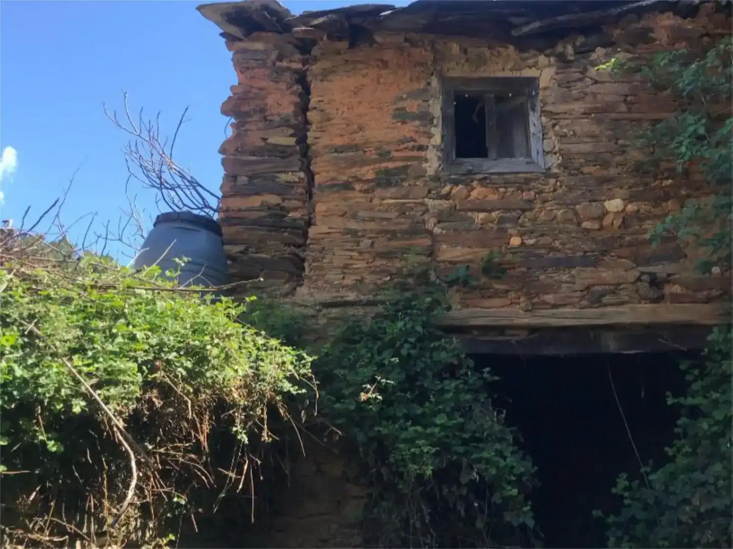 Vista exterior de Finca rústica en venda en Vega de Espinareda