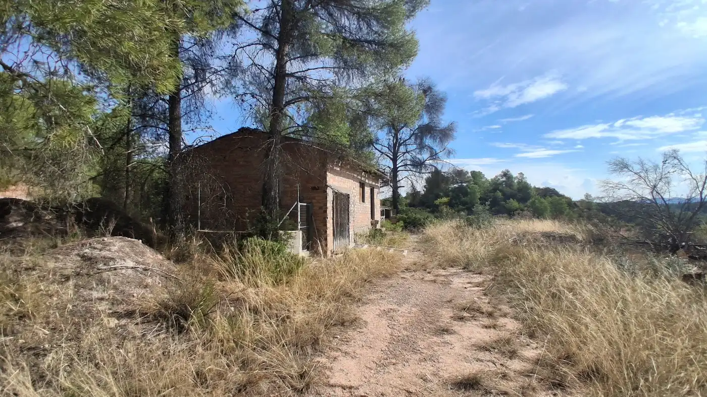 Maison rustique avec terrasse à vendre à C-233, imagen 29