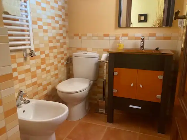 Bany de Casa o xalet en venda en Olías del Rey amb Aire condicionat, Calefacció i Jardí privat
